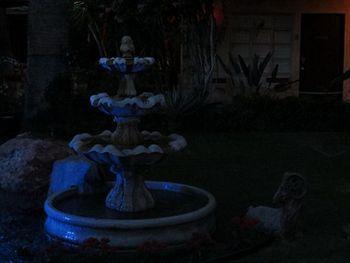 Desert Paradise Resort - Gay Men'S Resort Palm Springs Bagian luar foto