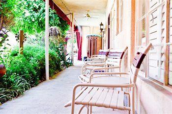 Desert Paradise Resort - Gay Men'S Resort Palm Springs Bagian luar foto